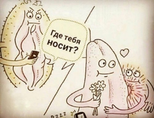 Зачем нужен муж в городе в 21 веке? Давайте теперь рубанем правду.