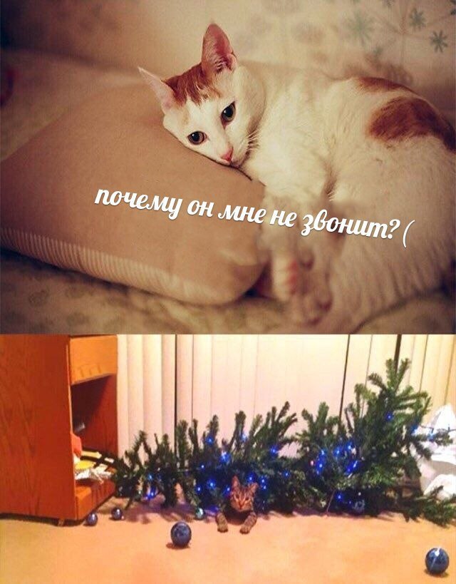 Декабрьский пикчемёт