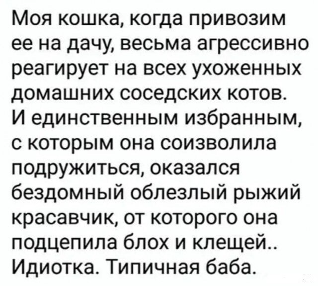 Картинки и мемы для настроения 003
