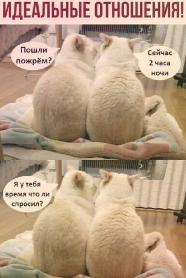 Если хочешь быть здоров...