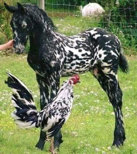 Подборка картинок всяких