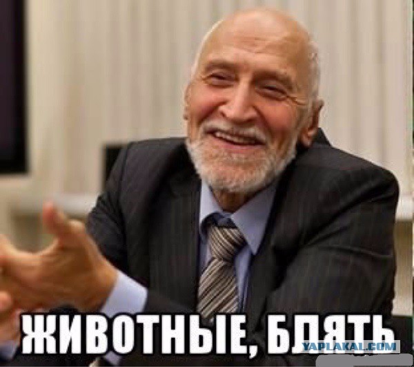 Задержание воров скота 18+