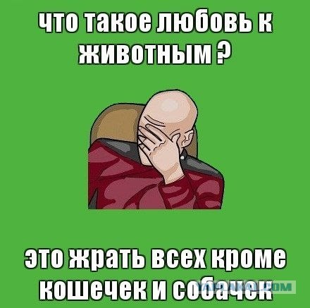Поросёнок спас козлёнка