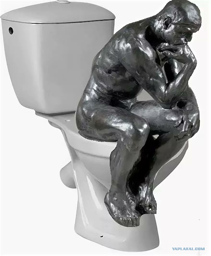 Качка туалете. Мыслитель Родена на унитазе. Статуэтка в туалет. Скульптура на унитазе.