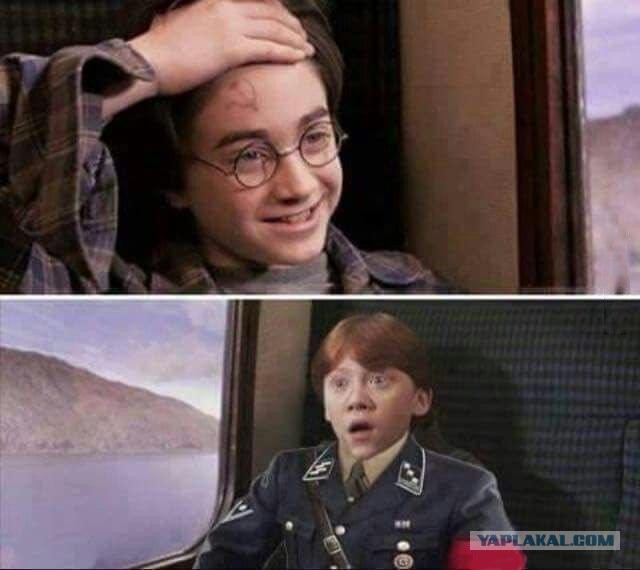 Замечены Тополя на МКАДе