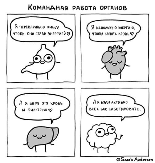 Так себе картинки 28.02.22