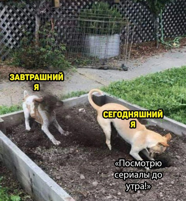 Чернуха на среду!