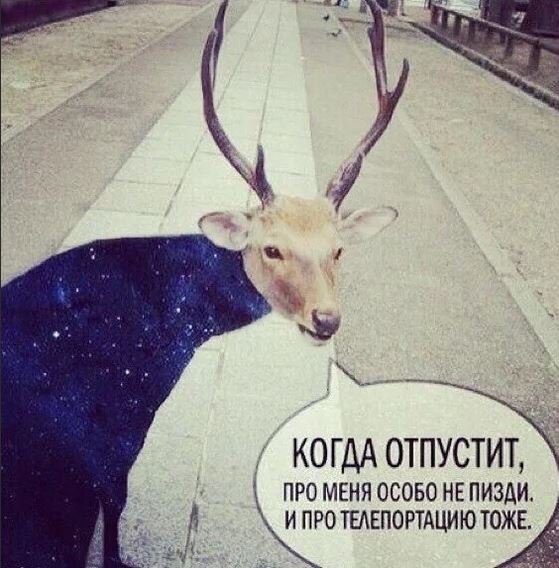 По Мурманску бегает голая девушка