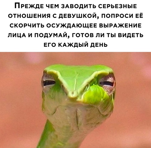 Картинки и мемы для настроения - 14