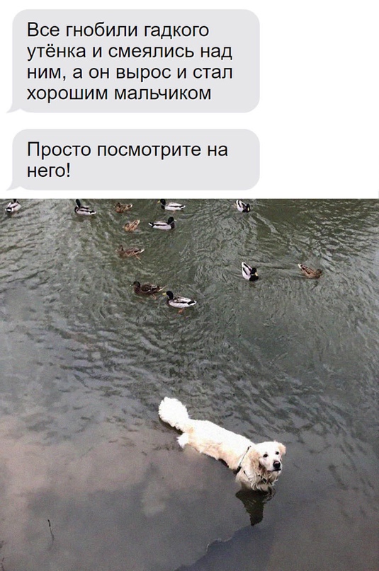 Картинки и мемы для настроения - 19