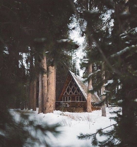 Просто фотографии 05.08.2022