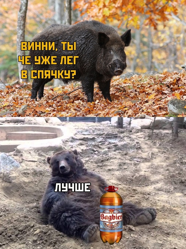 Картинки и мемы, всем хороших выходных