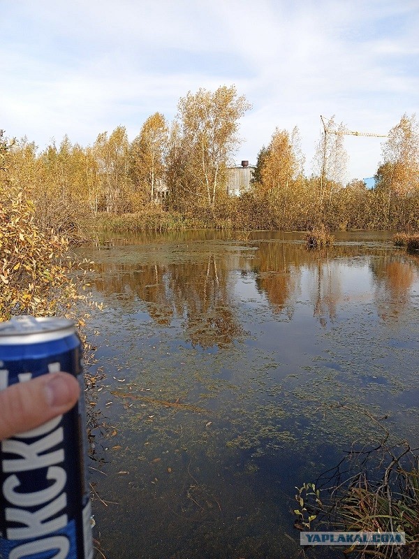 Война, мост, яо, а у меня рыбалка. И к **ям все