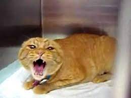 Большая разница в возрасте: хочу развестись, чтобы не содержать мужа на пенсии