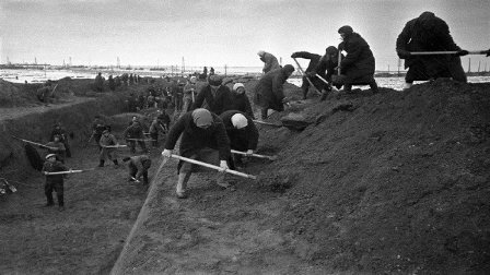 В Белгородской области начали формировать отряды теробороны