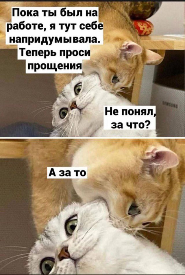 Так себе картинки 21.08.23