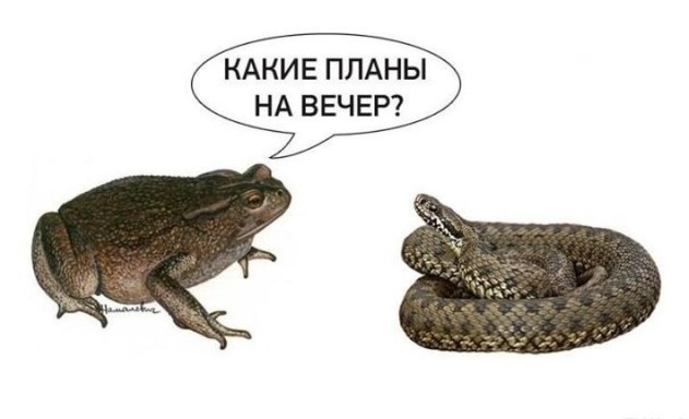 Решил проблему