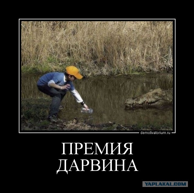 Фото последних мгновений жизни экстремала-прыгуна
