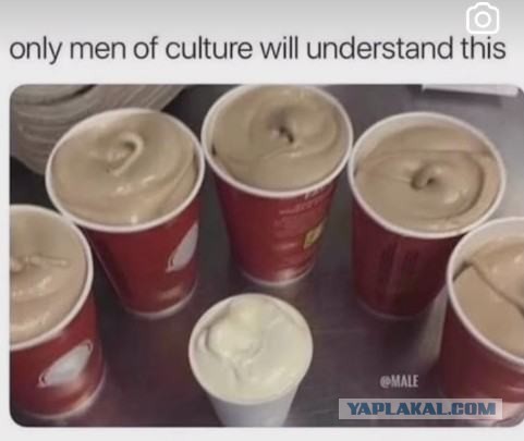 Спалилась