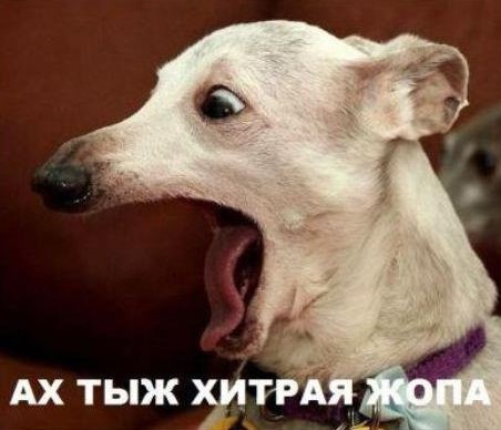 Рабочие будни воинов