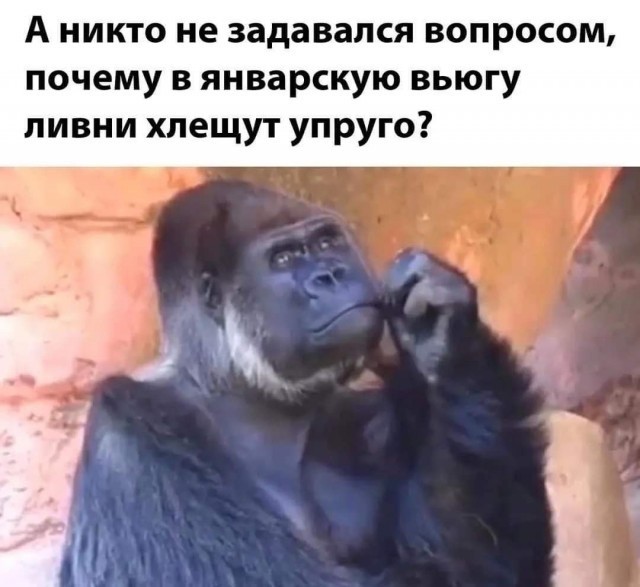 Улыбательные картинки околоновогодней тематики.