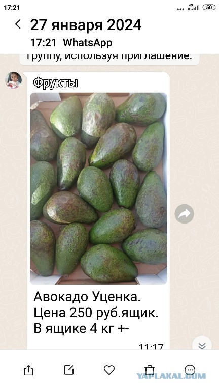 Вот что купила Жена в магазинен на 1500 рублей!
