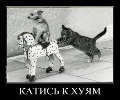 Автор видео хочет услышать мнение о себе и о ситуации в целом