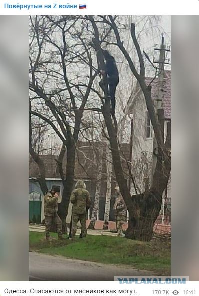 Мощный взрыв прогремел над Санкт-Петербургом