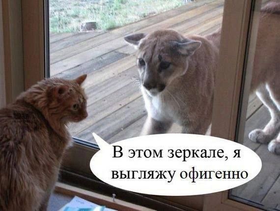 Так себе картинки 03.05.24