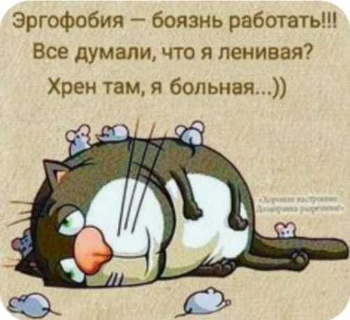55 демотиваторов опять