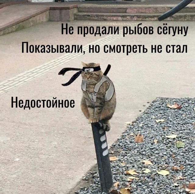 Отборные баяны 10-летней выдержки vol. 2