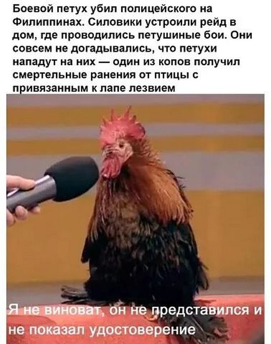 Завалялось тут случайно немного забавных картинок
