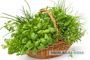 Этот позор я переживаю до сих пор