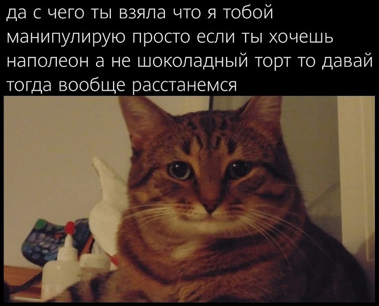 Моя любимая теория заговора