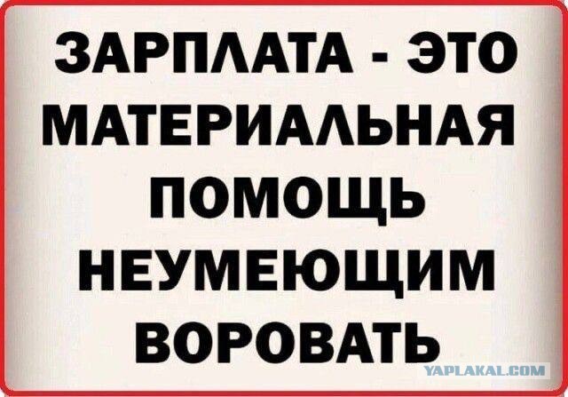 Веселые картинки в маленькую пятницу (06.08)