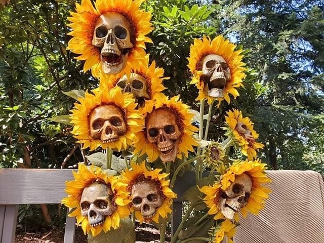 Так всякие картинки