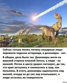 Шах и мат ... шаро*бы