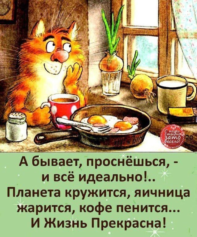 Прикольные и просто красивые картинки 15.05.2026
