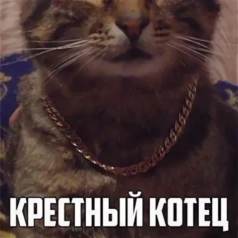 Ты это, товой!