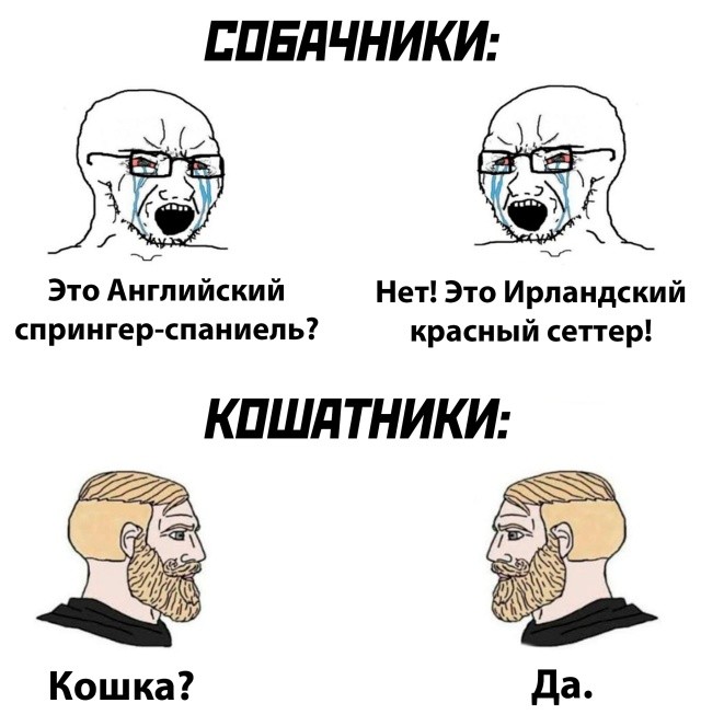 Веселые картинки в пятницу (28.08)