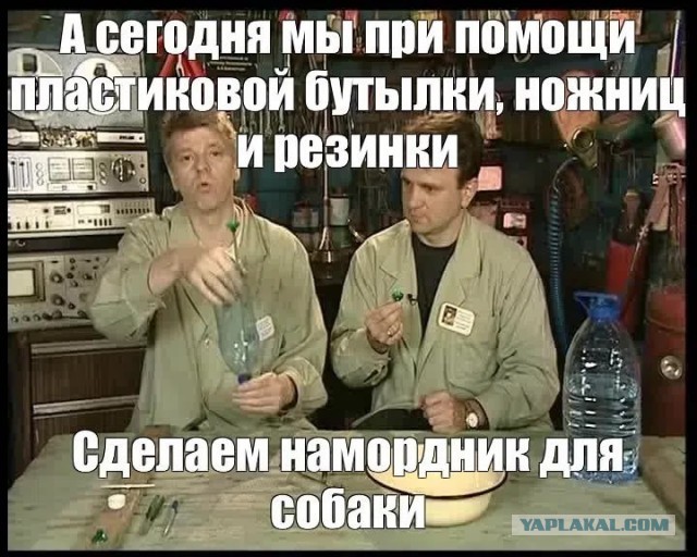 Картинки для деградации 284 (разной степени свежести)