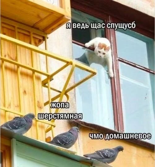 Картинки на среду