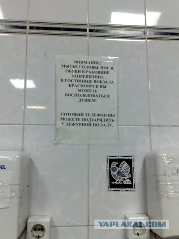 Скромный сортир в Москве: сколько стоит отлить