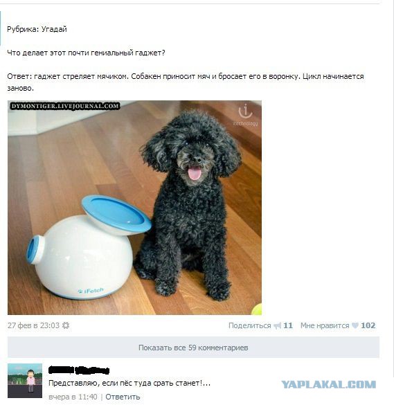 Весёлые картинки. Разбавим будни