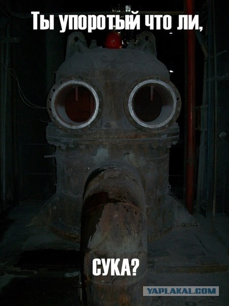 Гопота