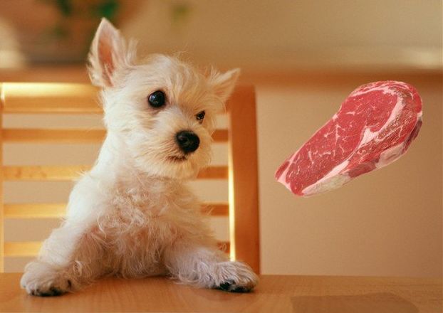 Почти как настоящая левитация