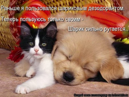 Поднимаем настроение