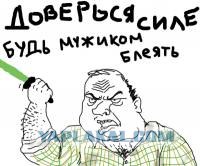 Троль-капча
