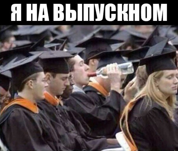 Подборка весёлых картинок
