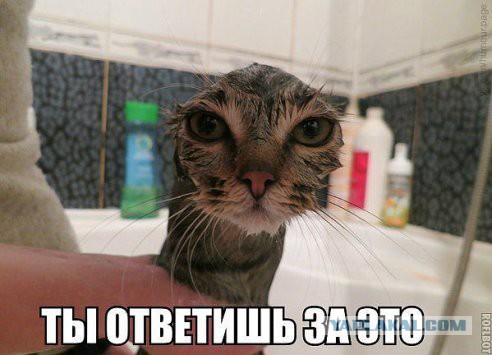 Попросила мужа сфоткать